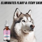 Collagen Liquid for Pets Factory - Hydrolyzed Skin Coat Joint