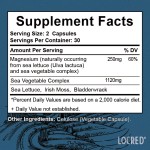 Magnesium Capsules Manufacturer - Hot Selling Whole Food Sea Vegetables