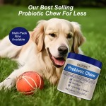 Probiotics for Dogs Supplier - Custom Gut Health Soft Chews