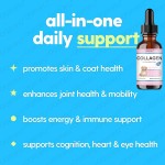 Collagen for Pets Factory - Hot Sales Skin Coat Itch Relief