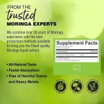 Moringa Drops Manufacturer - Private Label Leaf Extract Energy
