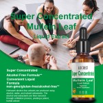 Mullein Leaf Drops Supplier - Factory 60ml Natural Liquid Extract