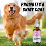 Collagen for Dogs Factory - Private Label Premium Skin Coat