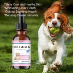 Collagen for Pets Factory - Hot Sales Skin Coat Itch Relief