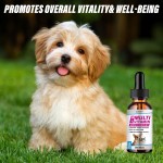 Pet Liquid Drops Manufacturer - OEM Multivitamin Mineral Stomach