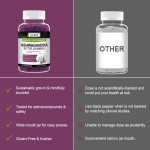 Ashwagandha Gummies Factory - Wholesale Strength Endurance Immune