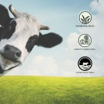 Beef Tallow Balm Supplier - Private Label Organic Face Body