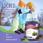 Elderberry Gummies Supplier - OEM Private Label Vitamin C Zinc