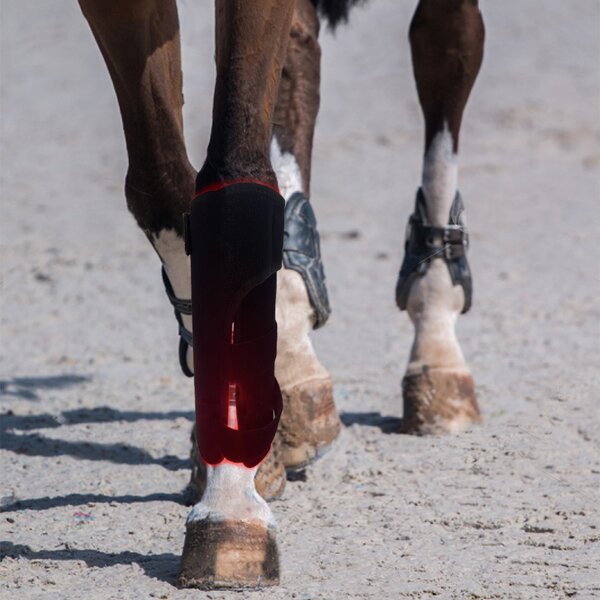 Horse Leg Wraps - Desktop Red Light Therapy for Pain Relief Infrared