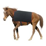 Red Light Therapy Blanket - 660nm850nm for Horse Back Pain Relief