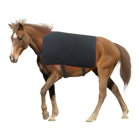 Red Light Therapy Blanket - 660nm850nm for Horse Back Pain Relief