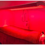 Full body light panel