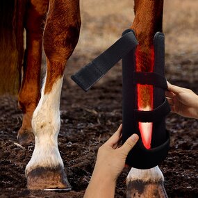 LED Light Therapy Pad - Shanglaite for Pet Care Horse Leg Health