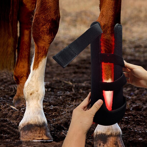 LED Light Therapy Pad - Shanglaite for Pet Care Horse Leg Health