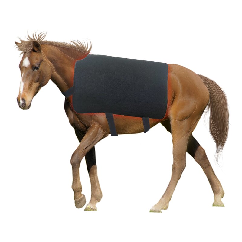 Red Light Therapy Blanket - Horse Back Pad Photobiological LED for Pain