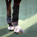 Animal Light Therapy Wrap - 2025 for Equine 660nm 850nm Pain Relief