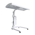 Light Therapy Device - Full Body 660nm 850nm Pulse Near Infrared for Salon