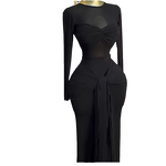 Women's Dress - Early Spring New Vintage Translucent Empire Waist Solid Color Long Sleeve Round Neck Bodycon Elegant