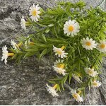 Artificial Flowers - Wholesale 5-Branch Water Grass Sunflower Cheap Plastic