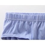 Men's Underwear - Factory Sales Triangle Breathable Plus Size Shorts Pants Cotton Briefs