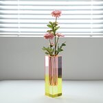 Flower Vase - Creative Simple Pluggable Dry Flower Hydroponic Nordic Acrylic Color