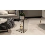 Side Table - Special-shaped Small Nordic Light Luxury Acrylic Simple Modern Corner