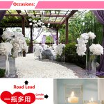 Flower Vase - Acrylic Cylinder Decorative Centerpiece Home Wedding Non Breakable 5"X8"