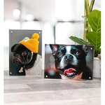 Picture Frames - Acrylic 4x6 Bulk Clear Magnetic with Gift Box Package 5PACK