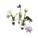 Vase Manufacturer - Modern Wabi-Sabi Molecular Test Tube Hydroponic Acrylic Minimalist