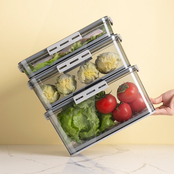 Storage Container - Multi Functional for Freshness Preservation PET Plastic Kitchen