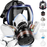 6200 Half Face Respirator - Ce for Dust & Paint Gas Mask