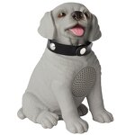 Radio Speaker Manufacturer - Portable with Stereo Woofer FM SW AM Radio Rechargeable Battery Torch BT MP3