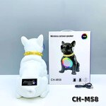 Bluetooth Speaker Manufacturer - Dogy Design Stereo BT with FM Radio TF USB RGB Flashlight