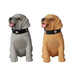 Radio Speaker Manufacturer - Portable with Stereo Woofer FM SW AM Radio Rechargeable Battery Torch BT MP3