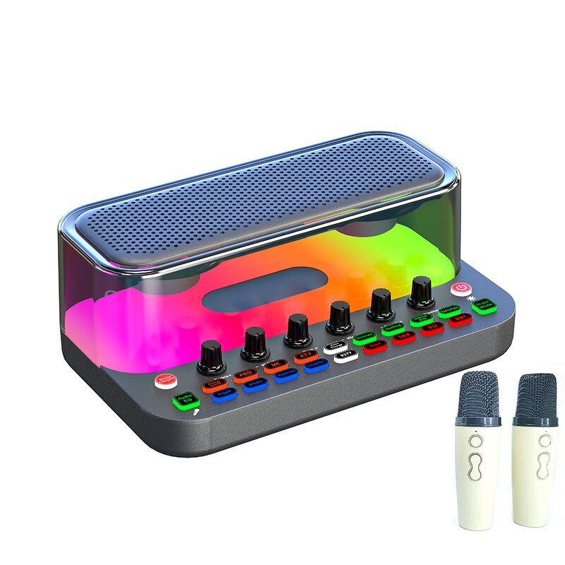 Bluetooth Speaker Manufacturer - Dual 3 Inch Horn 10 Watt with AUX TF Cards USB for Karaoke