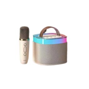 Solar Speaker Manufacturer - Outdoor with Mic AUX FM Radio Flashlight