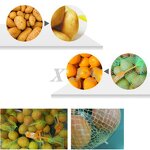 Bag Machine Manufacturer - Professional for Packing Vegetable Fruit Grape Tying