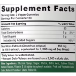 Private Label Premium Formula Promote Digestion Vegan Sea Moss Gummies Improve Gut&Intastinal Boost Immunity Gummy Candy