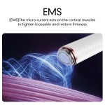 Beauty Device Factory - Wholesale 6 in 1 Hot Cold Face Neck