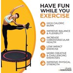 Fitness Trampoline Manufacturer - Indoor/Outdoor Folding Mini Rebounder with Adjustable Handle Bar Durable Steel Construction