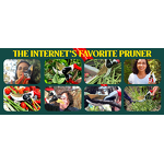 Garden Tools Manufacturer - Portable Stainless Steel Innovative Made in China