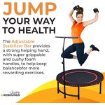 Fitness Trampoline Manufacturer - Indoor/Outdoor Folding Mini Rebounder with Adjustable Handle Bar Durable Steel Construction