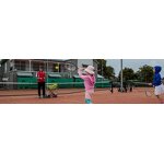 Tennis Badminton Net Manufacturer - Indoor and Outdoor Training Durable Portable 3.1M