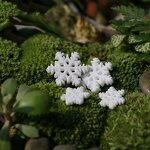 Resin Crafts Manufacturer - Customizable Moss Micro Landscape Decoration Christmas Snowflake DIY Cartoon Ornaments