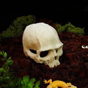 Reptile Supplies Manufacturer - Customizable Fish tank Scorpion Guard Palace Spider Lizard Snake Python Skull Aquarium Accessories