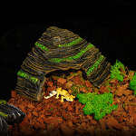 Resin Hideout Cave Manufacturer - Decorative for Reptiles & Amphibians Turtle Box with Basking & Climbing Platform Gecko Landscape