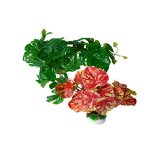 Aquarium Hiding Hole Cave Manufacturer - Climbing Platform Basking Platform Landscape for Reptile Amphibian Supplies Turtle Resin