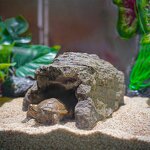 Resin Basking Platform Manufacturer - Customizable Fish Aquarium Rock Light Gray Eco-Friendly Living Room Decoration