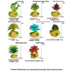 Artificial Plastic Plant Manufacturer - Green for Hermit Crab Landscaping Decorative Artificial Succulent Reptile Amphibian Supplies