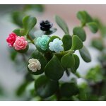 Resin Crafts Manufacturer - Customizable Micro Landscape Small Rose Flower Ornaments for Home Garden Decoration Unique Landscaping